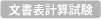 文書表計算試験